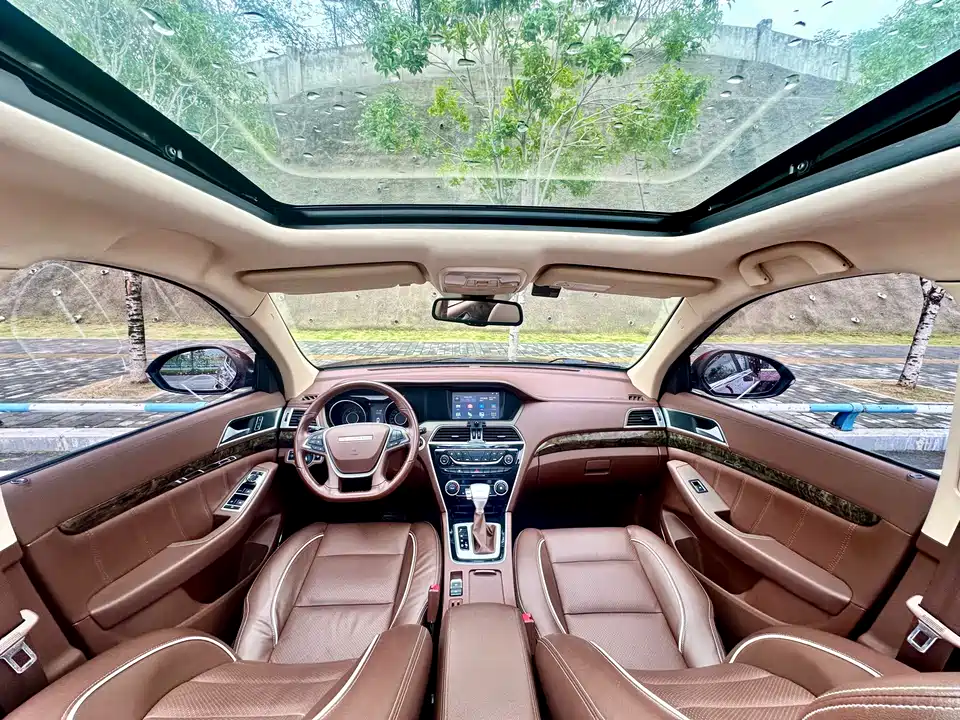 Leopaard Cheetah CS10