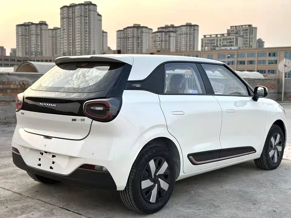 Dongfeng Nammi Nano 01