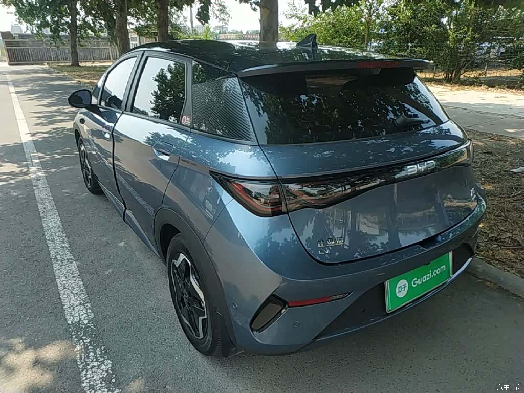 BYD Dolphin, 2025 все фото