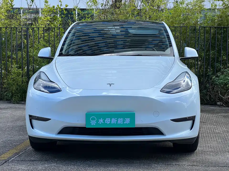 Tesla Model Y Tesla Model Y