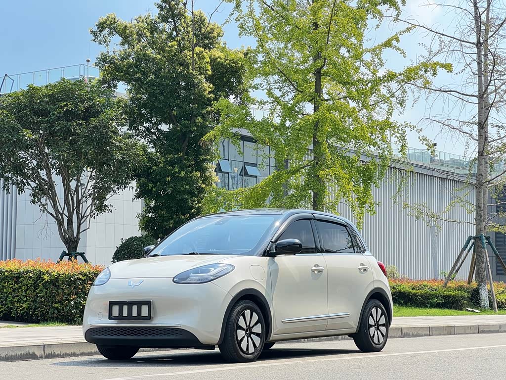 Wuling Binguo