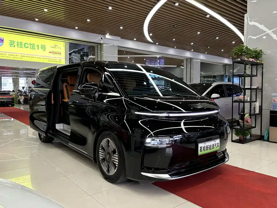 Geely Galaxy Wing true L380