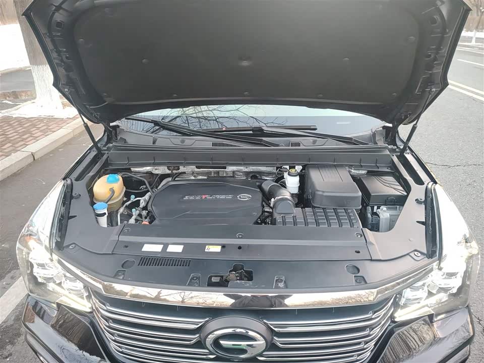 Trumpchi Trumpchi GS8