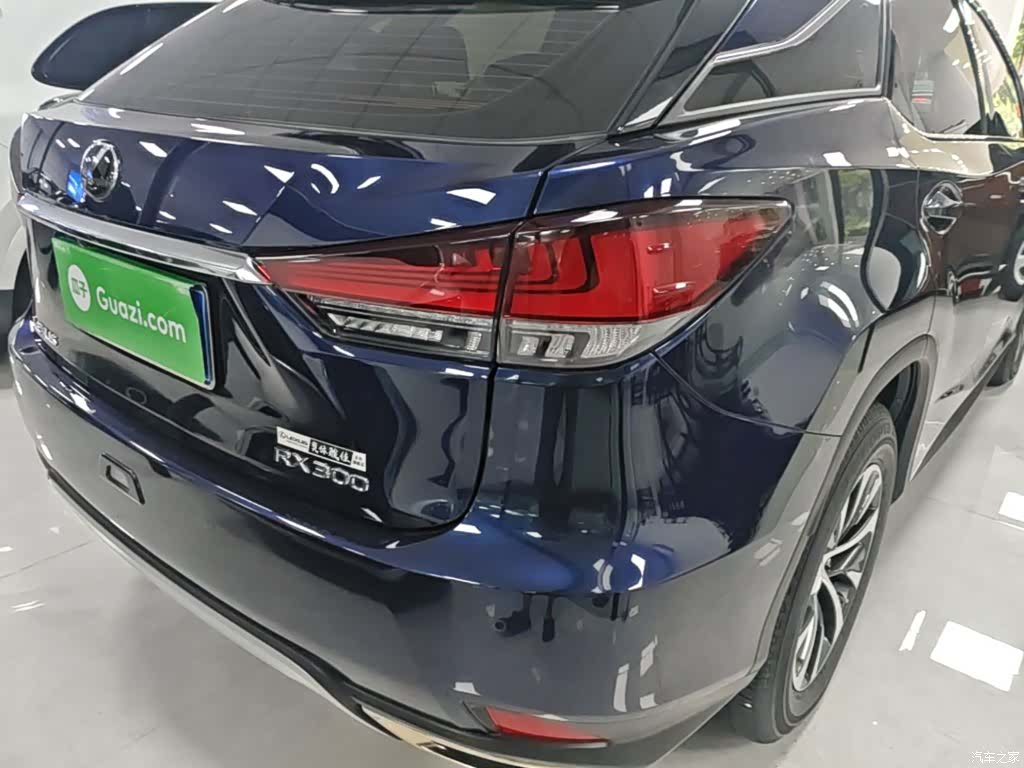 Lexus RX, 2021 8