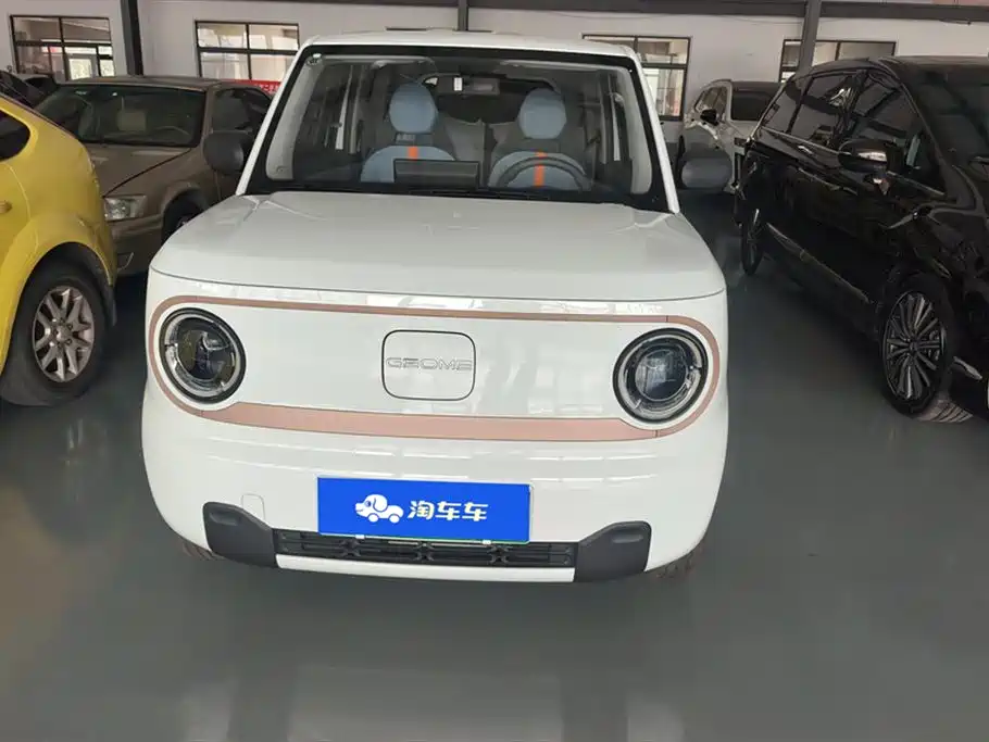 Geely Galaxy panda