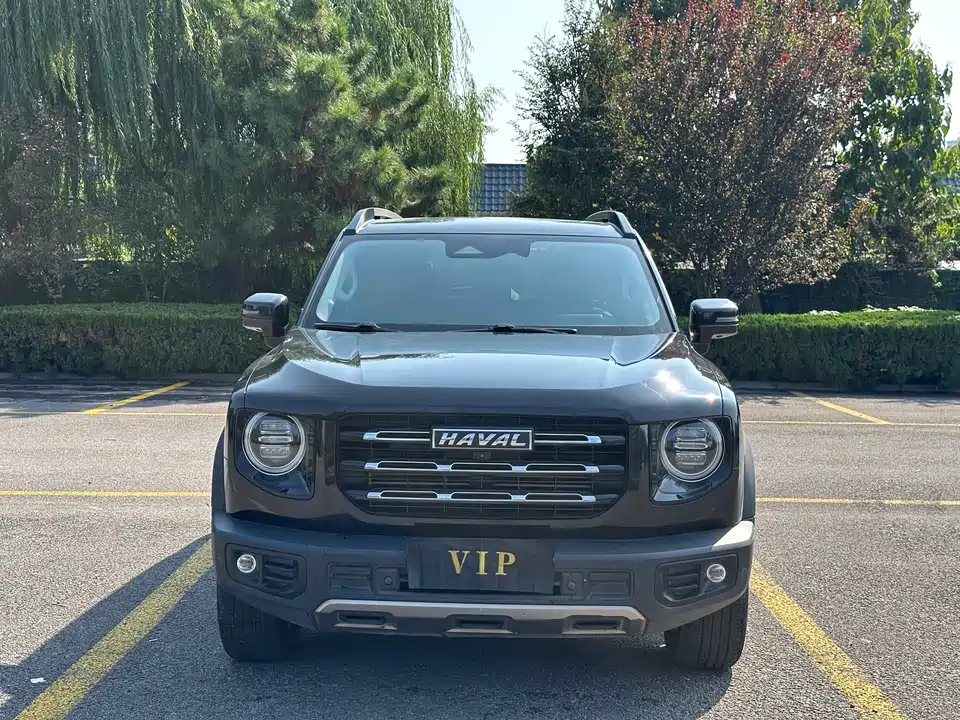 Haval Big dog