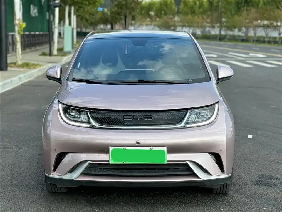 BYD dolphin
