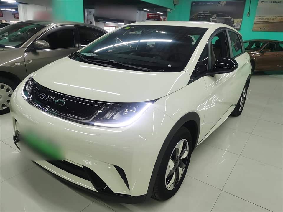 BYD dolphin
