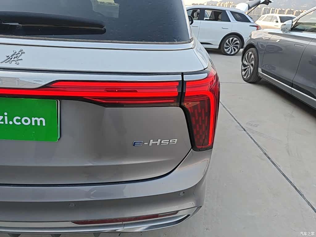 Hongqi E-HS9, 2023 8