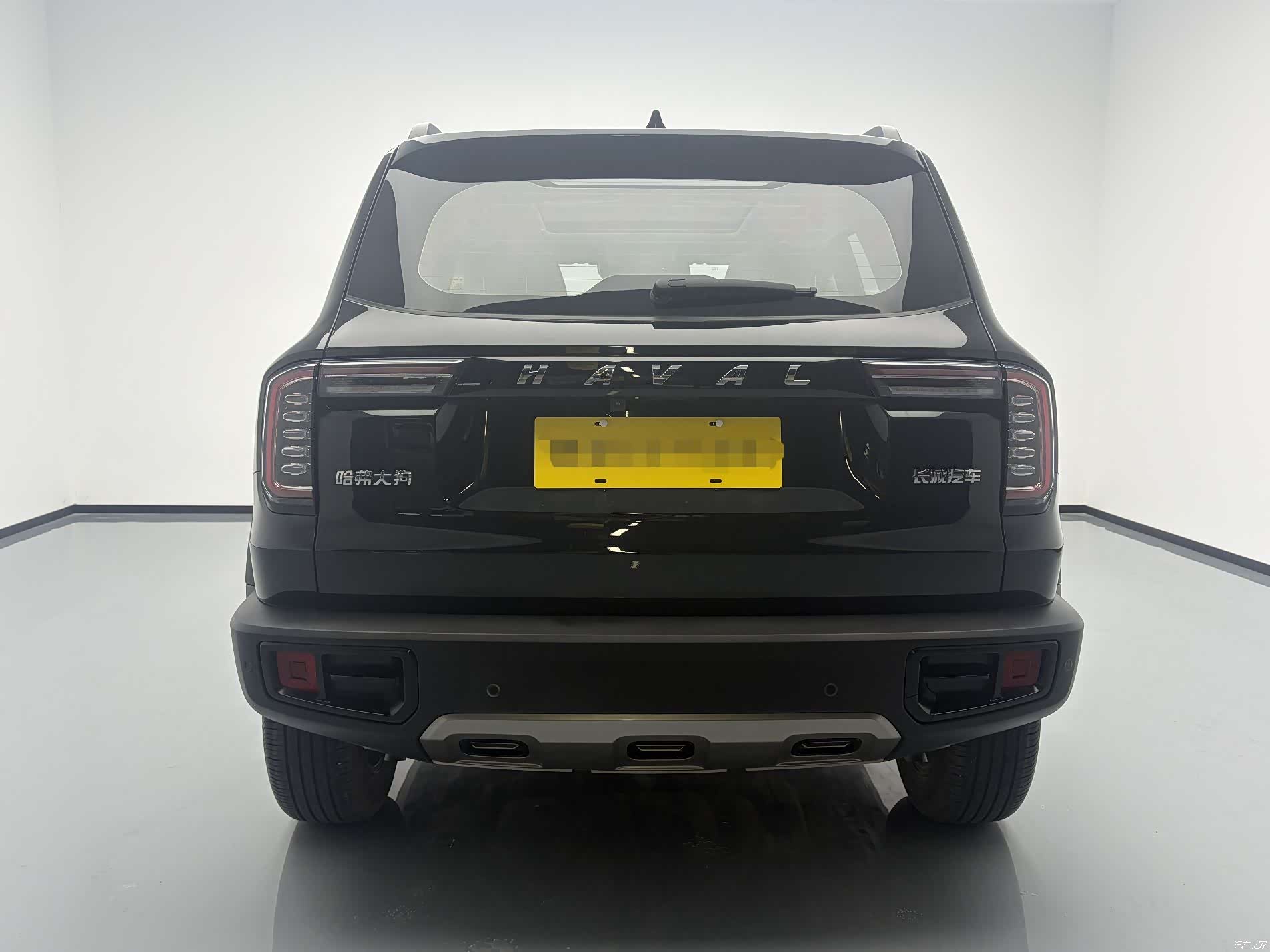 Haval Big Dog, 2023 все фото