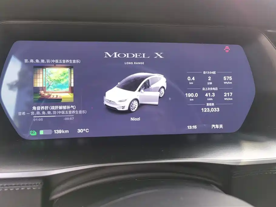 Tesla Model X