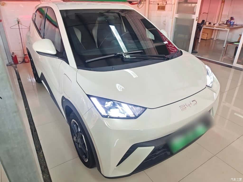 BYD Seagull, 2024 4