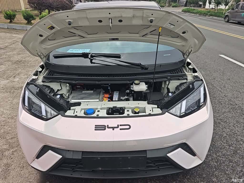 BYD Seagull, 2024 20