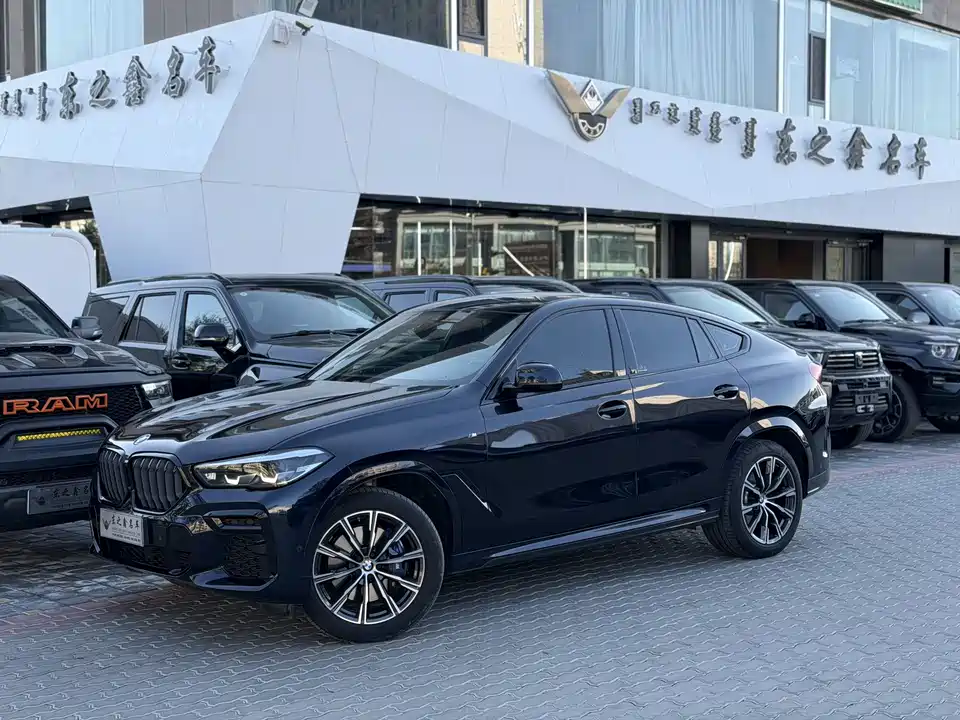 BMW X6