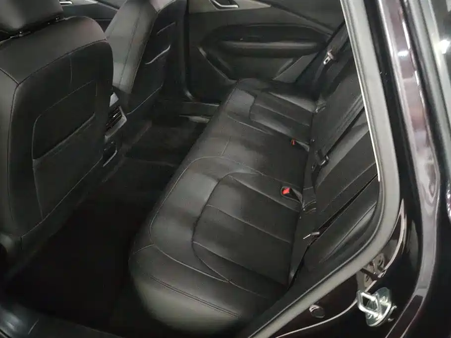 Wuling Wuling Starlight