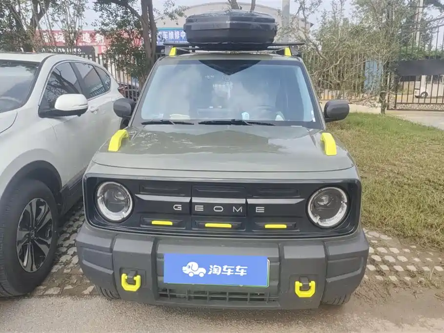 Geely Galaxy panda