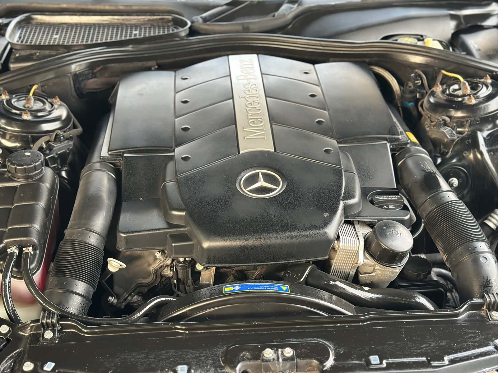 Mercedes-Benz S-Class, 2005 16
