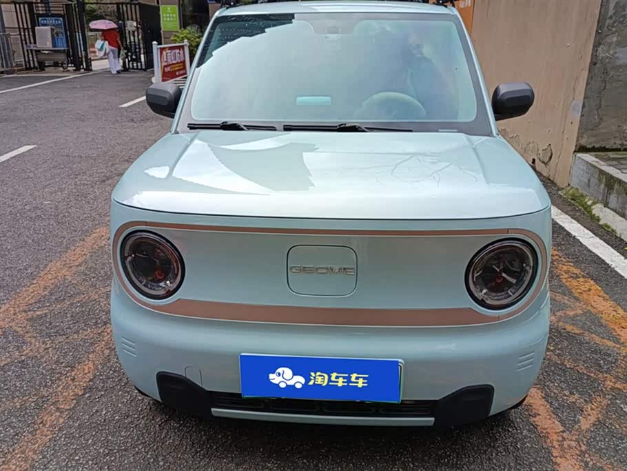 Geely Galaxy panda
