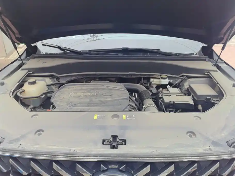 Trumpchi Trumpchi GS8