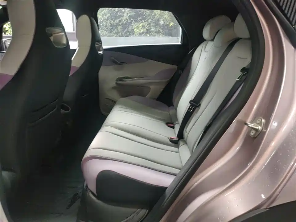 BYD dolphin