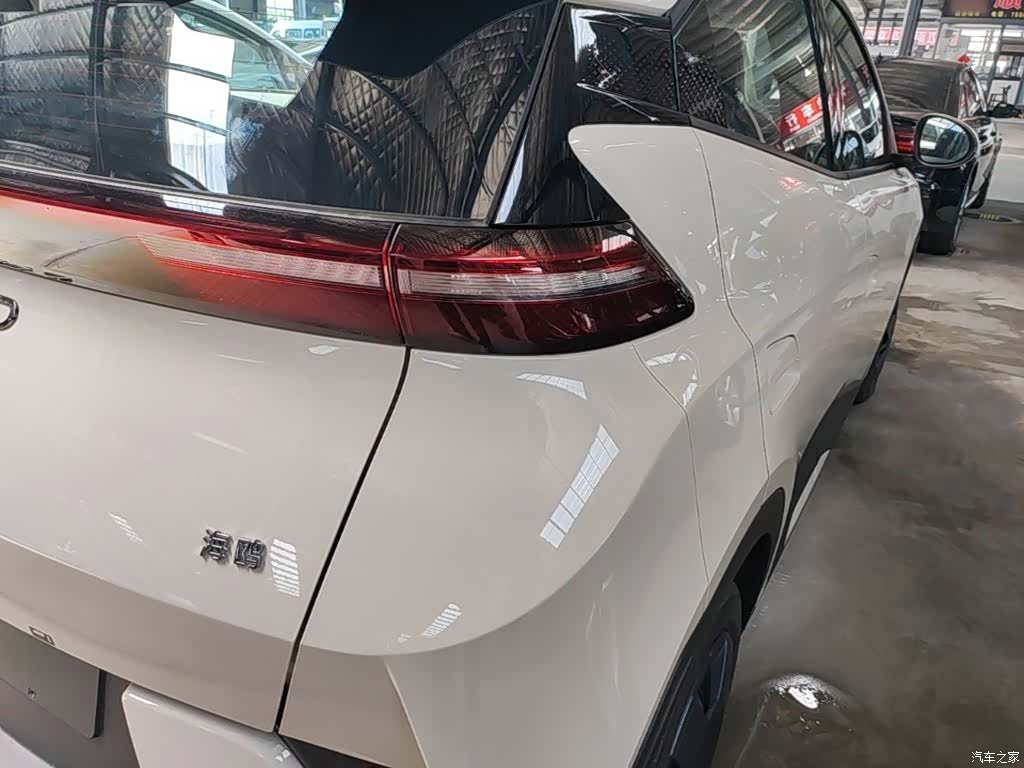 BYD Seagull, 2026 8