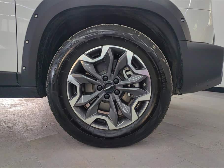 Haval Big dog Haval Big dog