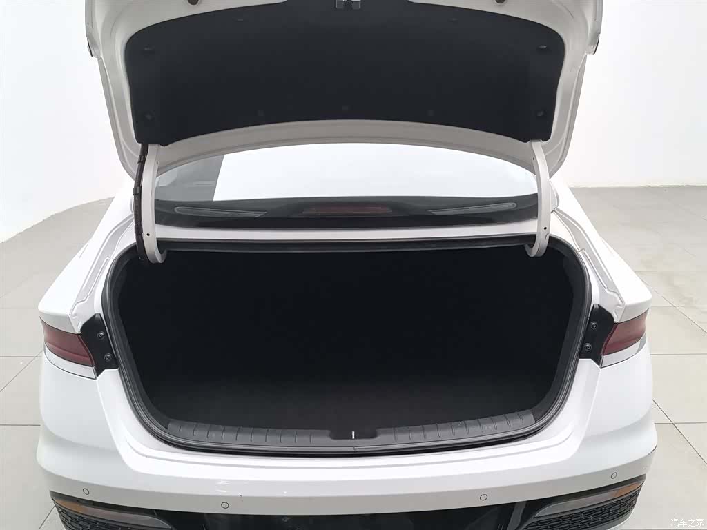 Hyundai Lafesta, 2020 16