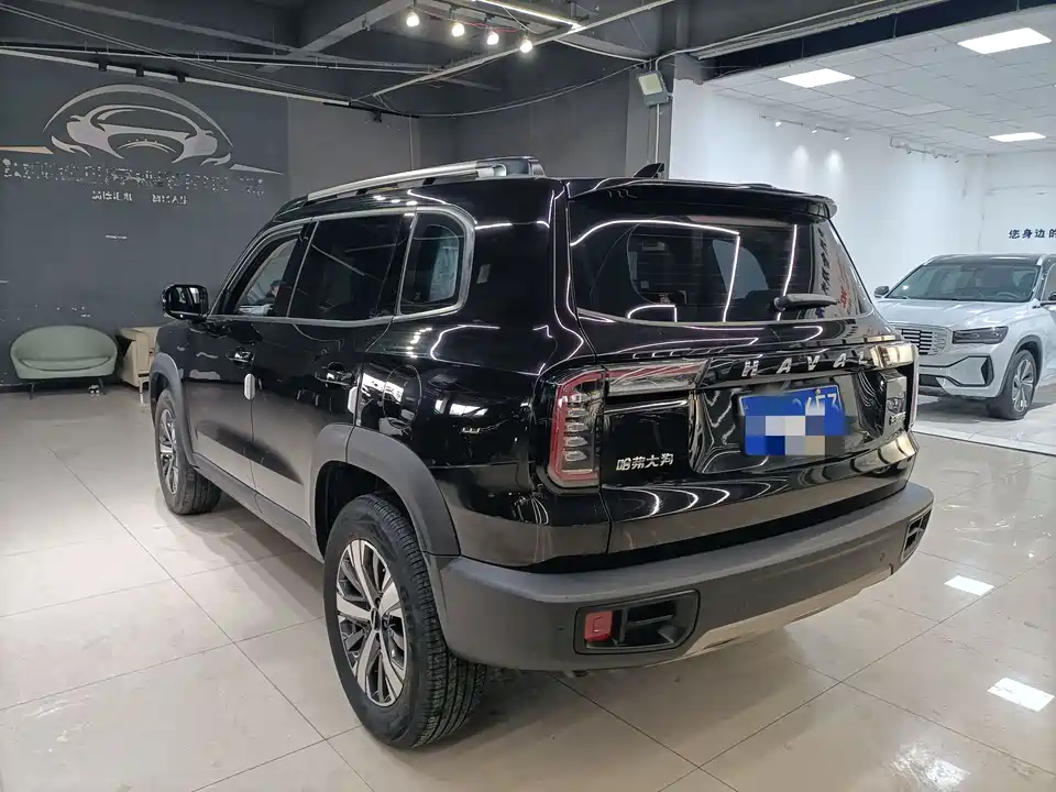 Haval Big dog