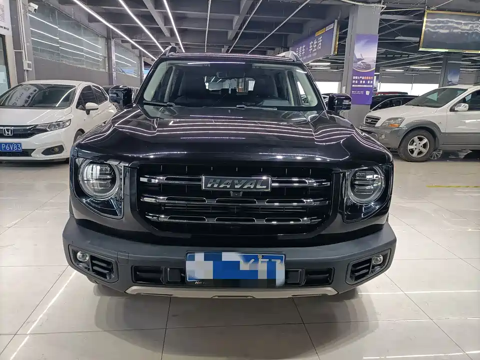 Haval Big dog