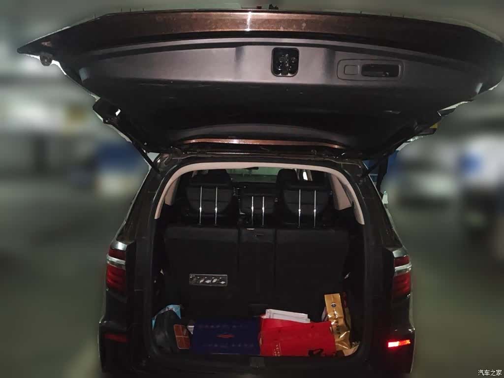 Honda Elysion, 2018 10
