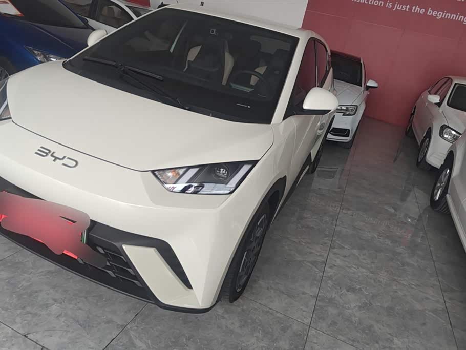 BYD Seagull