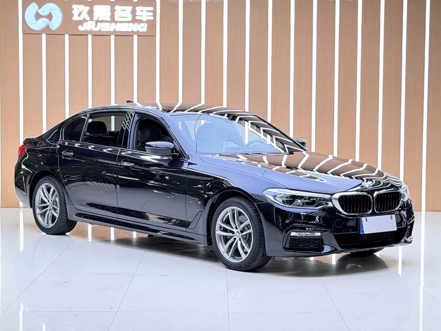 BMW 5 Series 2018, фото 3