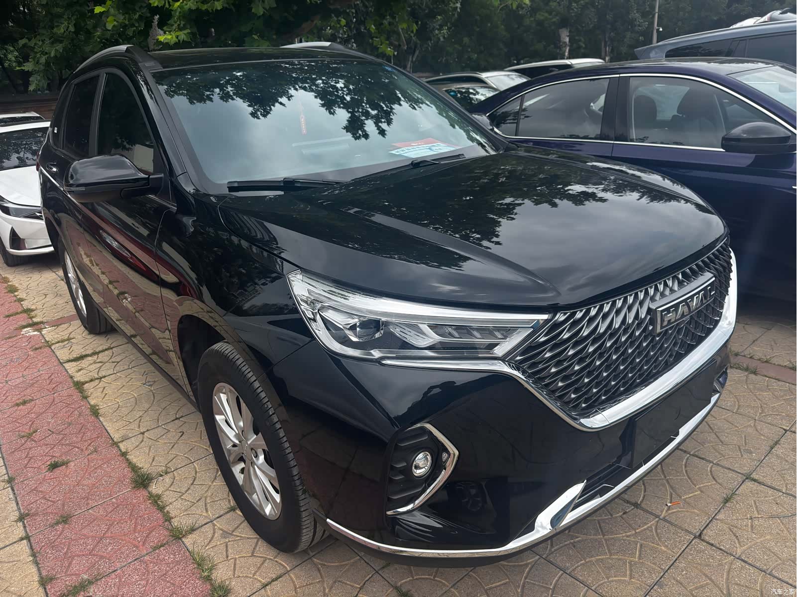 Haval M6, 2023 3