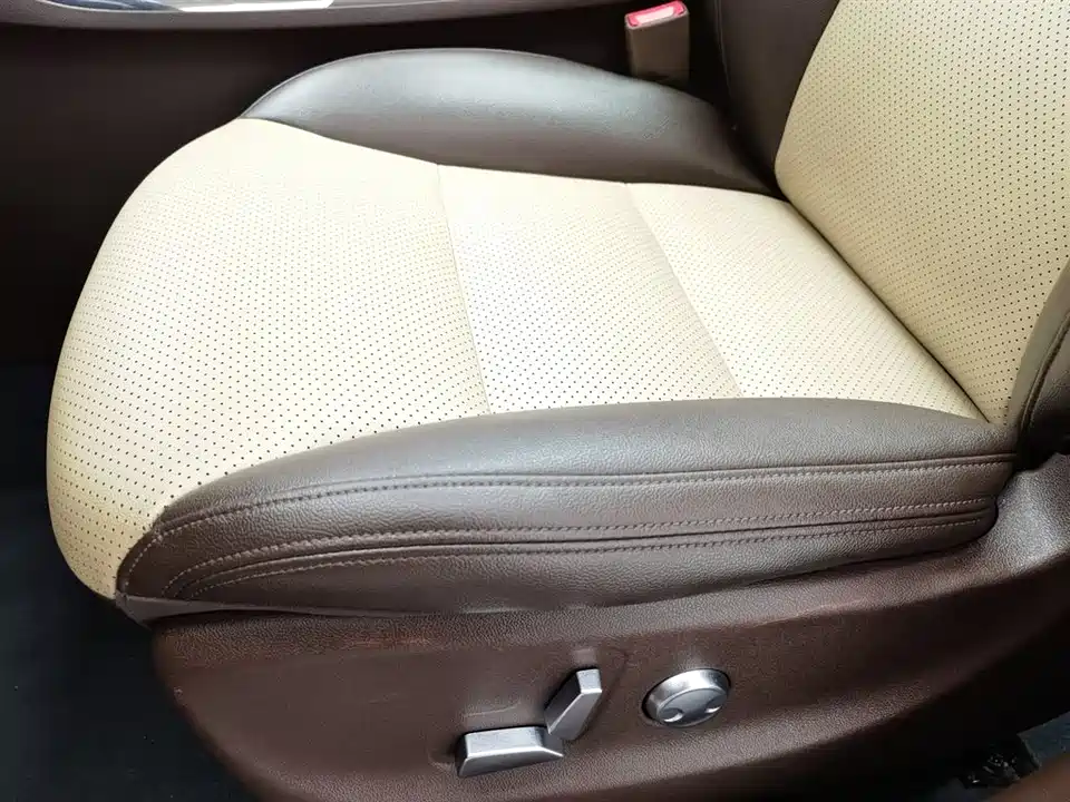 Leopaard Cheetah CS9