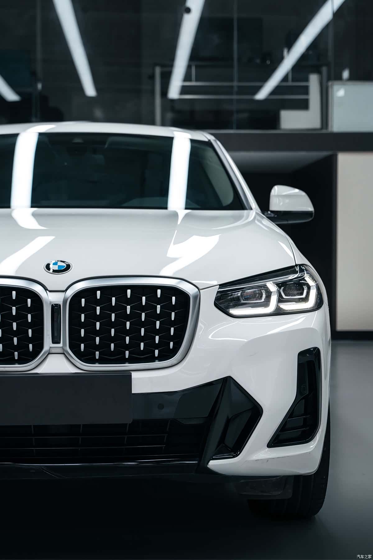 BMW X4, 2023 все фото