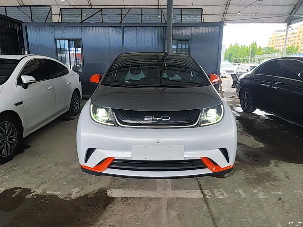 BYD Dolphin, 2021 3