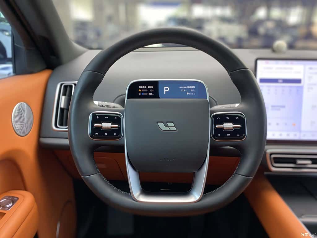 Li Auto L9, 2023 14