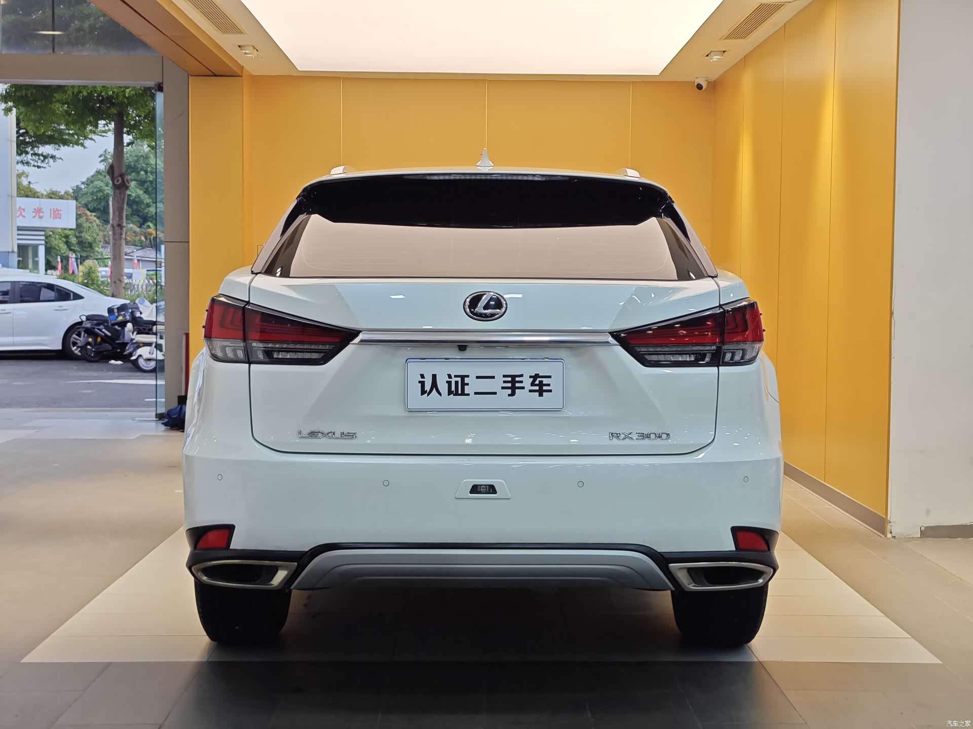 Lexus RX, 2022 32