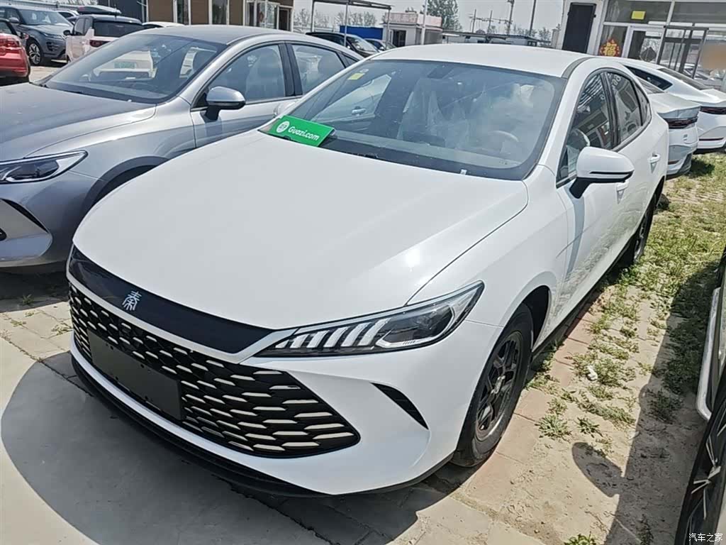 BYD Qin, 2026 2