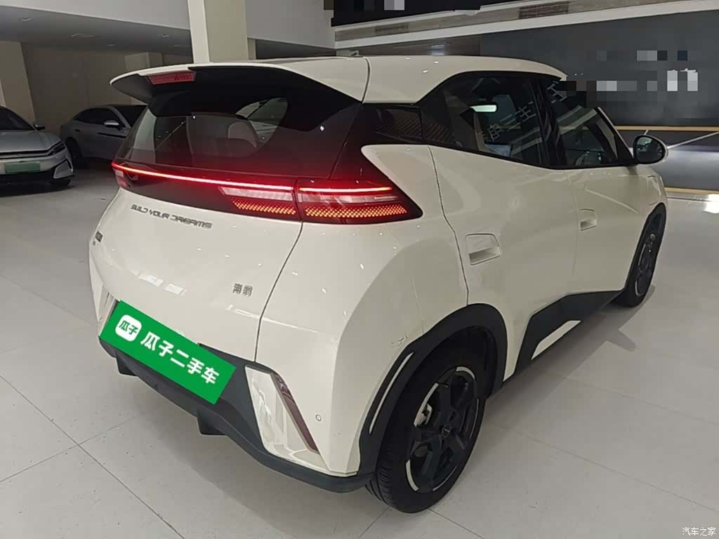BYD Seagull, 2024 7