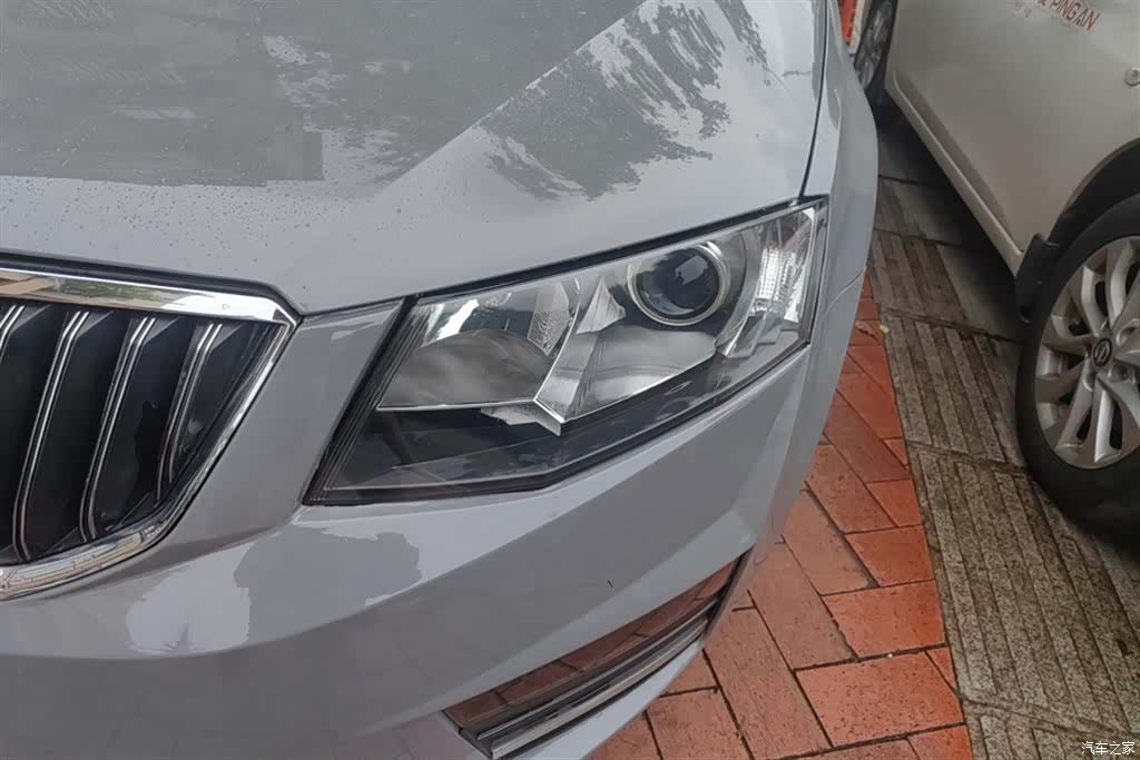 Skoda Octavia, 2016 все фото