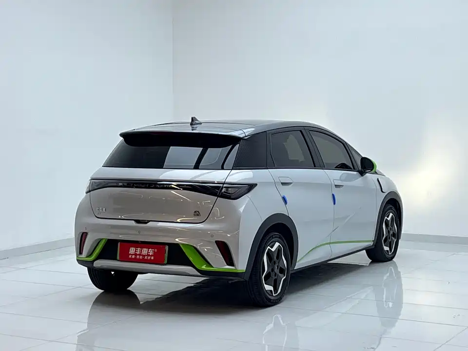 BYD dolphin
