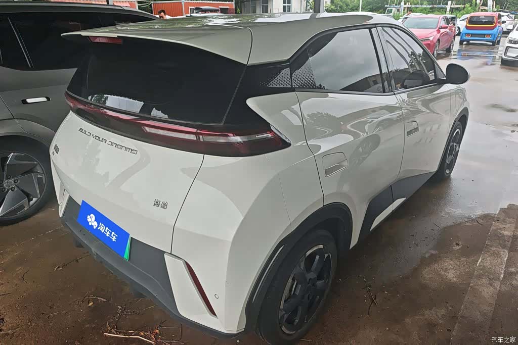 BYD Seagull, 2024 3