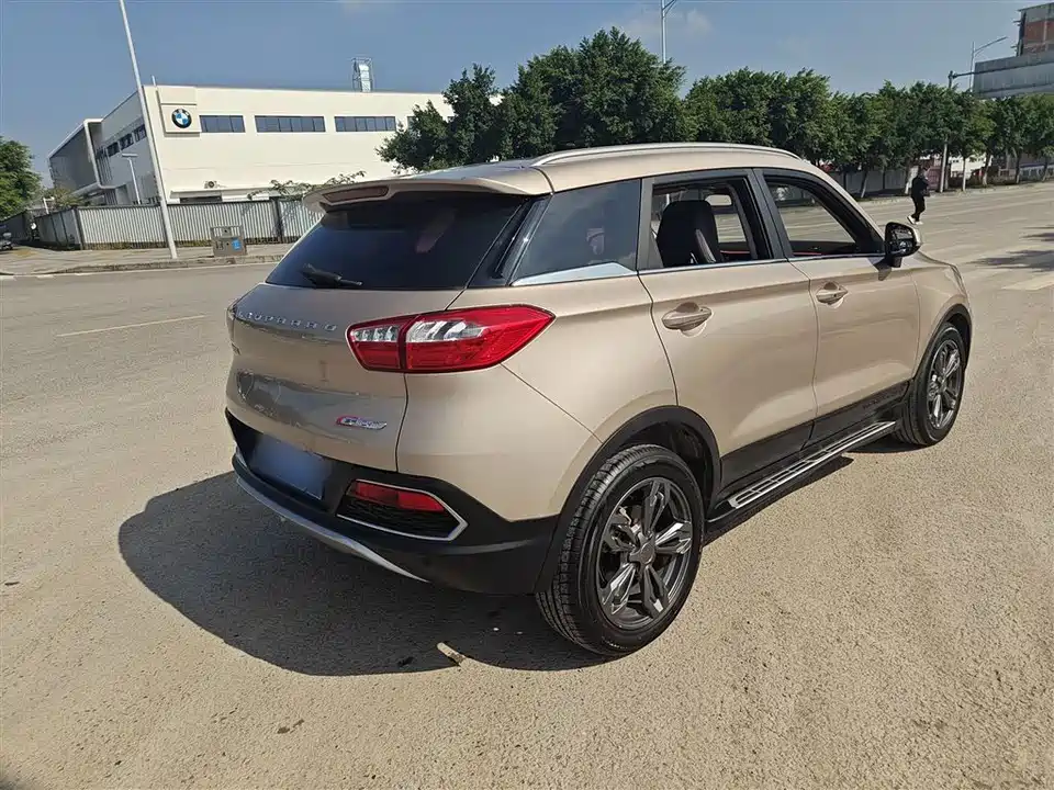 Leopaard Cheetah CS9