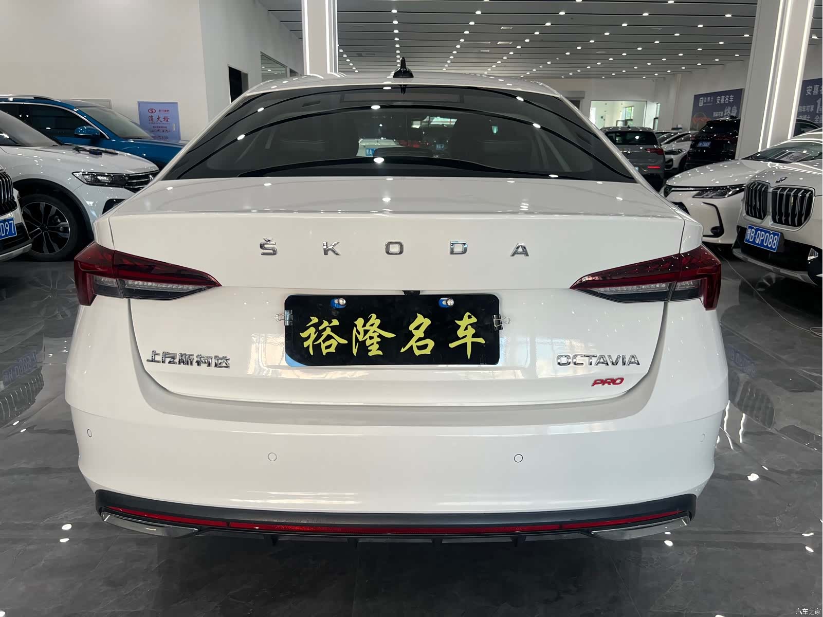 Skoda Octavia, 2022 все фото