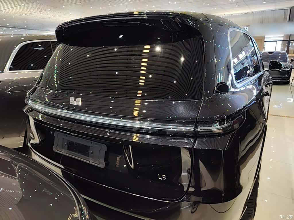 Li Auto L9, 2023 6