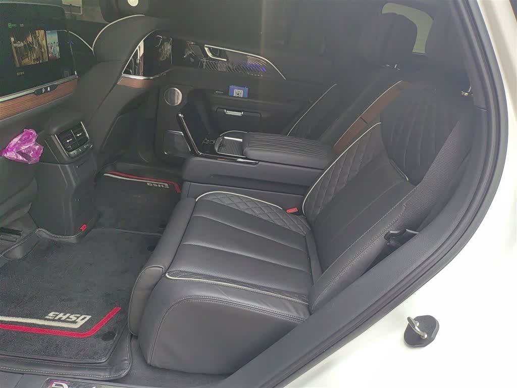 Hongqi E-HS9, 2021 15