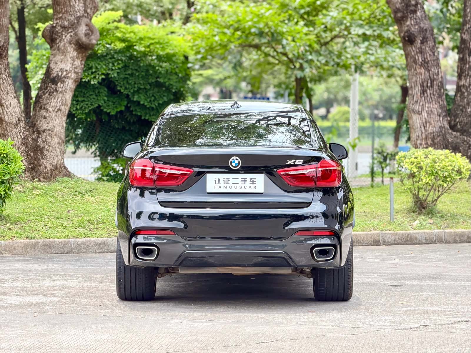 BMW X6, 2019 6