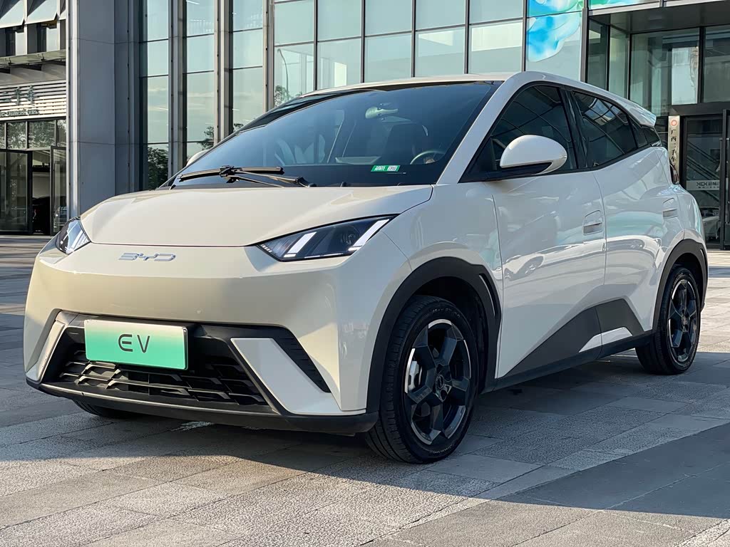 BYD Seagull