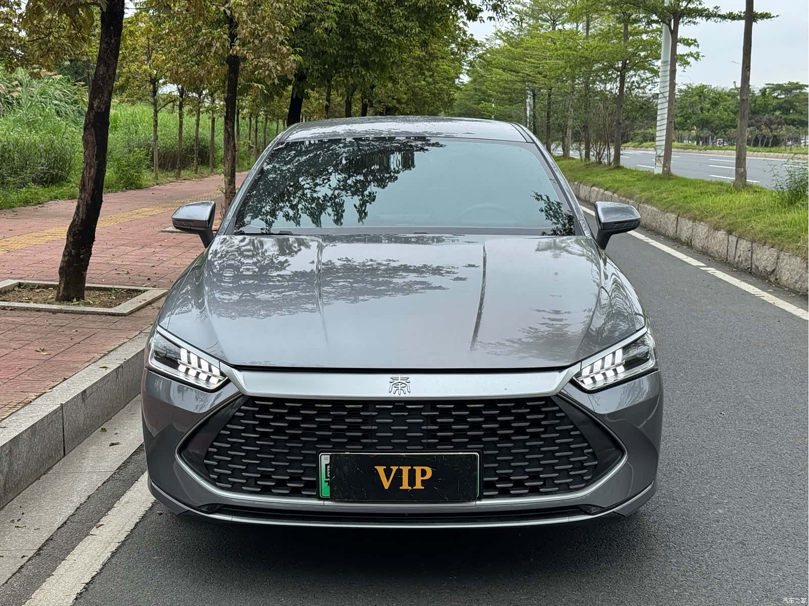 BYD Qin, 2024 1